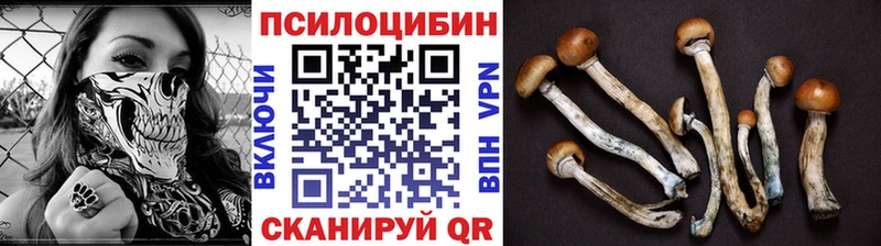 Купить закладки  Мелеуз  Псилоцибиновые грибы мухоморы 
